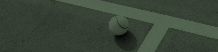 La Terrasse Du Tennis - restaurant FEUCHEROLLES